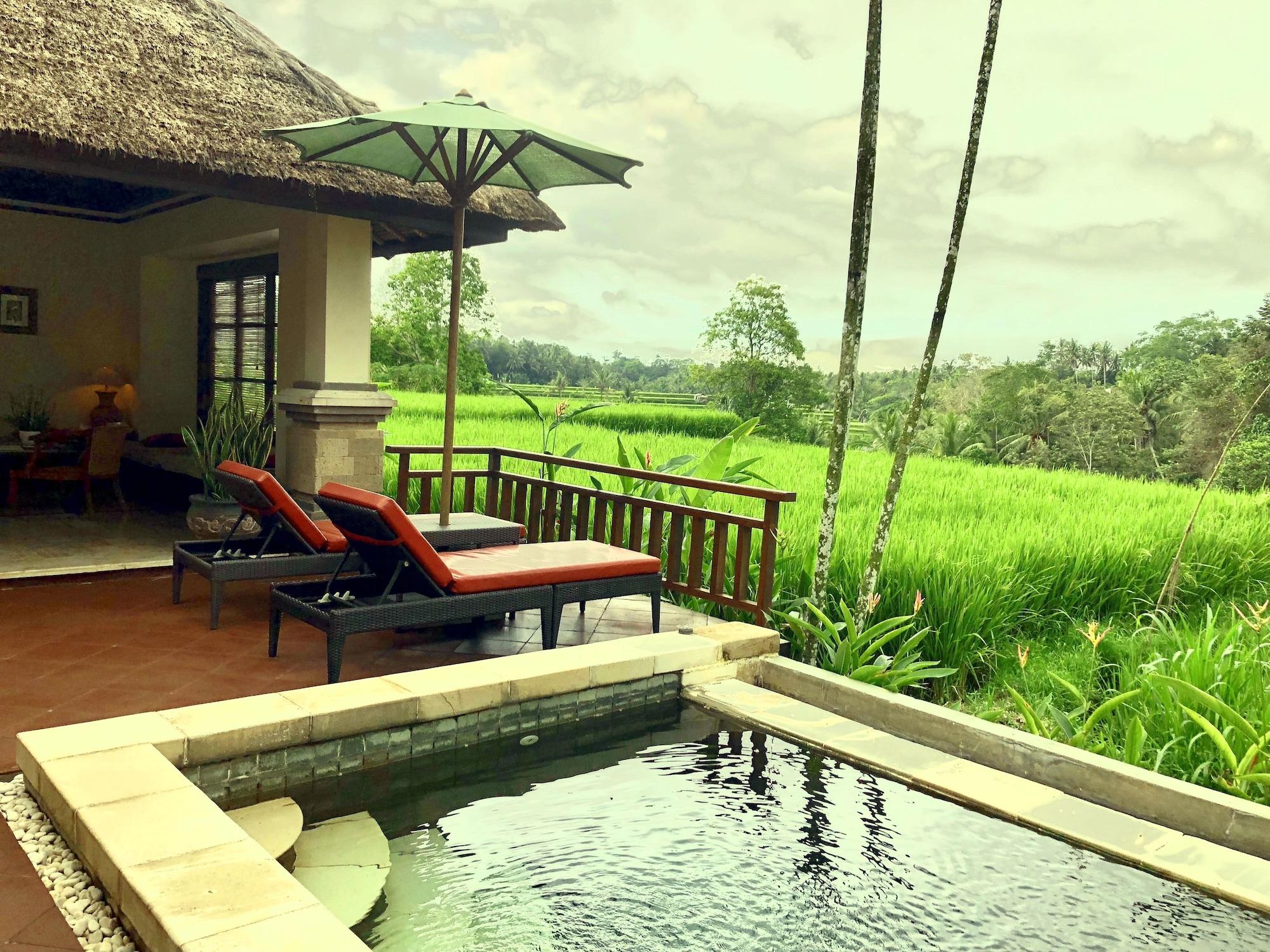Villa Semana Resort Ubud Buitenkant foto
