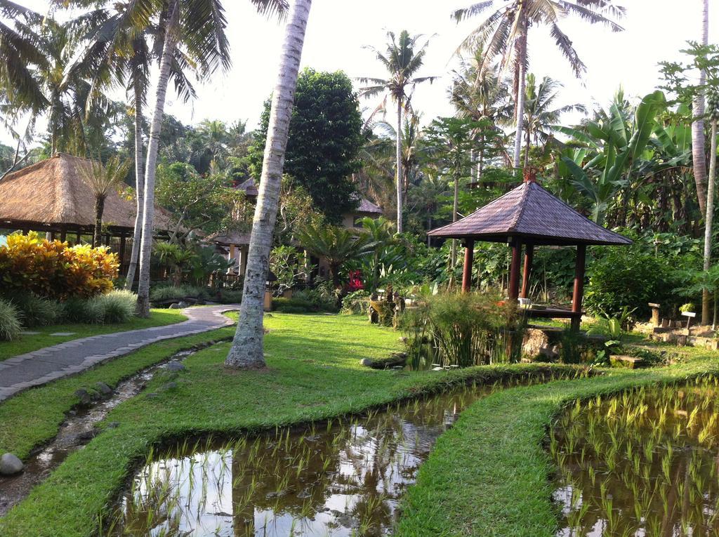 Villa Semana Resort Ubud Buitenkant foto